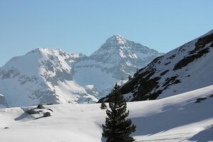 Wildkar 2386 2006-04-10.jpg