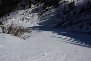 Wildkar 44967 2014-03-09.jpg