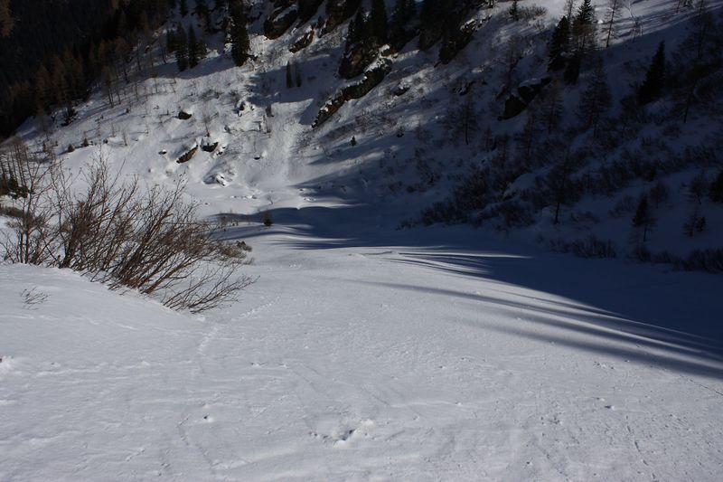 Datei:Wildkar 44967 2014-03-09.jpg