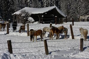 Zechmannhof ramsau 17470 2016-01-18.jpg