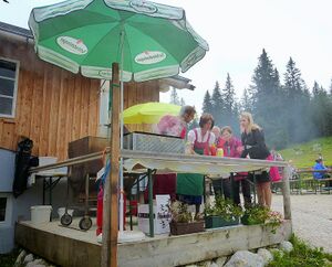 Almfest viehbergalm5.JPG