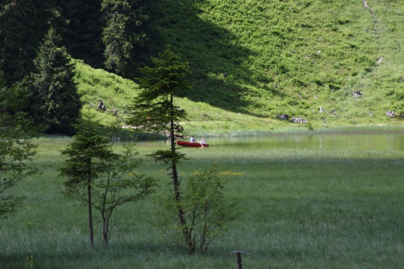 Datei:Bodensee seewigtal 63507 2014-06-21.jpg