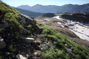 Bräuningalm 50606 2017-06-11.jpg