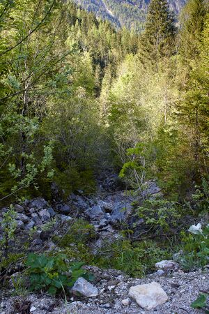 Butterbründlbach Gesäuse-12-2021-05-26.jpg