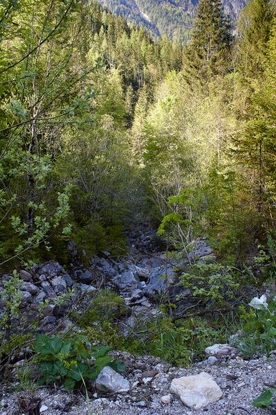 Datei:Butterbründlbach Gesäuse-12-2021-05-26.jpg