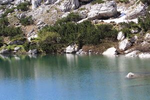 Dreibrüdersee 77809 2018-06-04.jpg