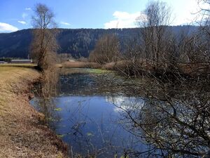 Ennsau Liezen1030881.JPG