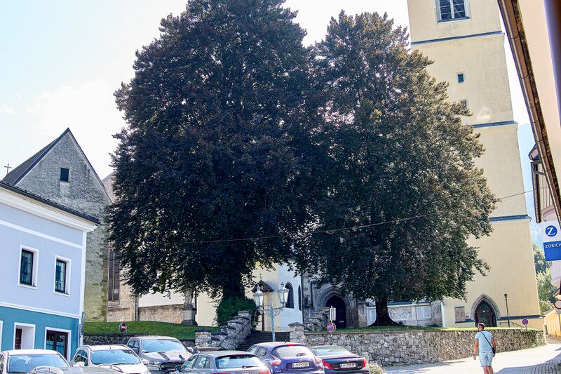 Datei:GLT 1285-rottenmann-0347-2023-09-11.jpg