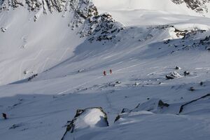 Grubachkar 1643 2008-03-30.jpg