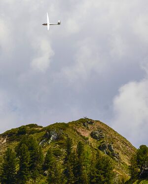 Hahnalpl hirsch-1016-2021-06-17.jpg