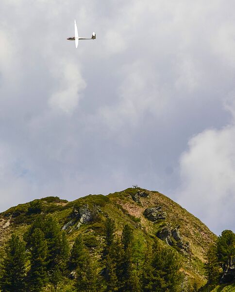 Datei:Hahnalpl hirsch-1016-2021-06-17.jpg