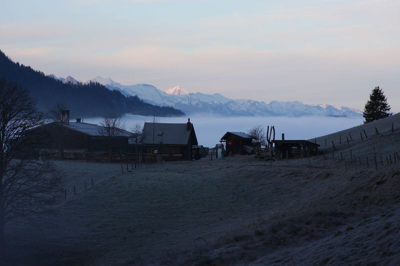 Datei:Halseralm-rittis 80046 2014-12-05.jpg