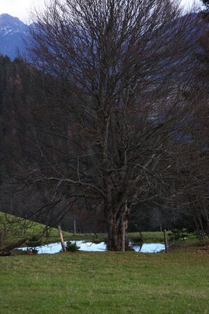 Halseralm ramsau 79451 2014-11-16.jpg
