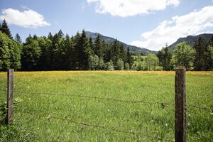 Krautmoos bad mitterndorf-10-2017-05-27-2.jpg