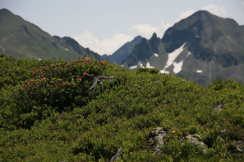 Datei:Schönkar 44678 2013-07-13.jpg