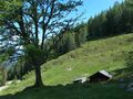 Unt weitgaßalm 19453 2007-05-25.jpg