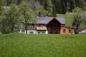 Forcherhof-weißenbach-0246-2021-05-11 11.47.06.jpg