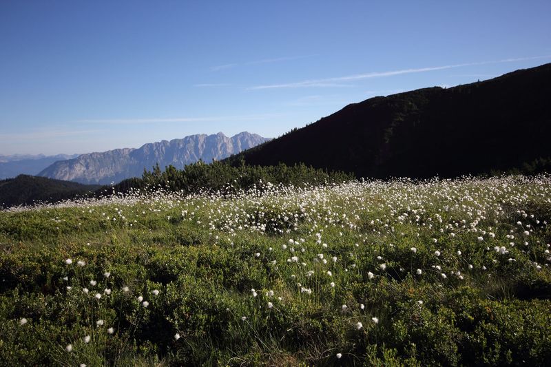 Datei:Gumpenkar 53229 2017-07-05.jpg