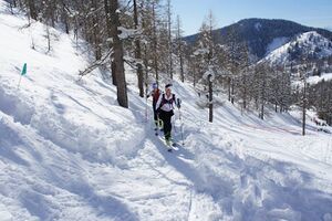 Hubsi-Lauf 2015-3224752 n.jpg