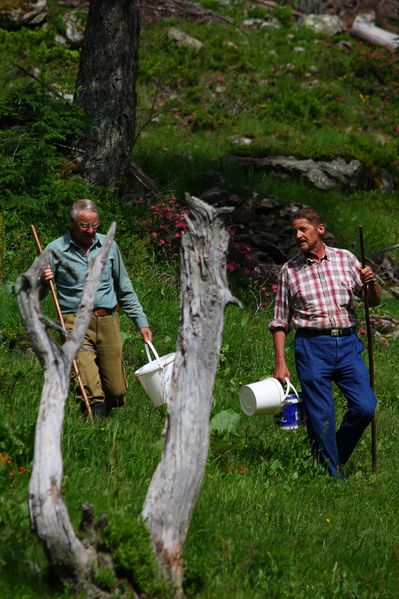 Datei:Im wildkar 23557 2008-06-26.jpg