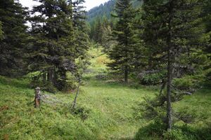 Knallkar großsölk 55649 2016-08-17.jpg