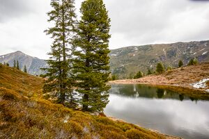 Michelirlingsee-109-2020-05-22.jpg