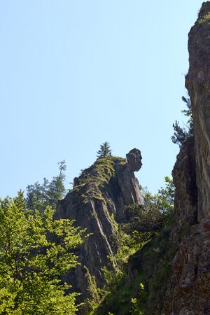 ND 900 türkenkopf-0506-2025-06-18.jpg