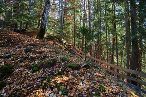 Röm.fluchtburg burgstaller 13983 2015-11-12.jpg