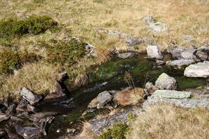 Rantensee 75043 2014-10-19.jpg