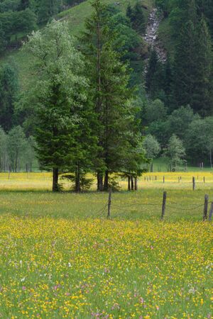 Tettermoor 22705 2008-06-02.jpg