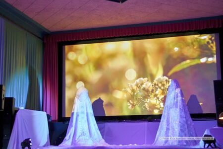 Traumwelt des Lichts - der Geist der Weihnacht 2025 15.jpg