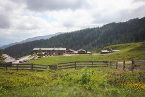 Trinkeralm fageralm-30-2018-06-15.jpg