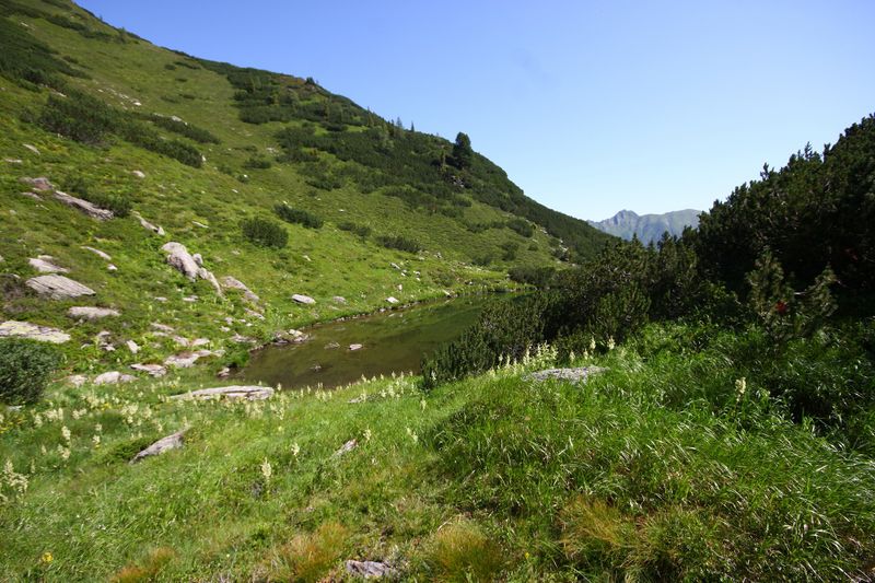 Datei:Unterer Karlsee 1514 13-08-05.jpg