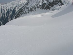 Duisitzkar 3916 2007-03-30.jpg