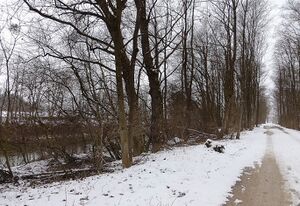 Ennsau Wörschach010809.JPG