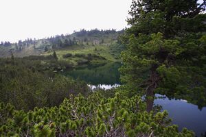 Finsterkarsee 1200 13-07-12.jpg