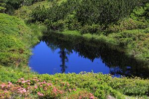 Gumpenkar 53177 2017-07-05.jpg