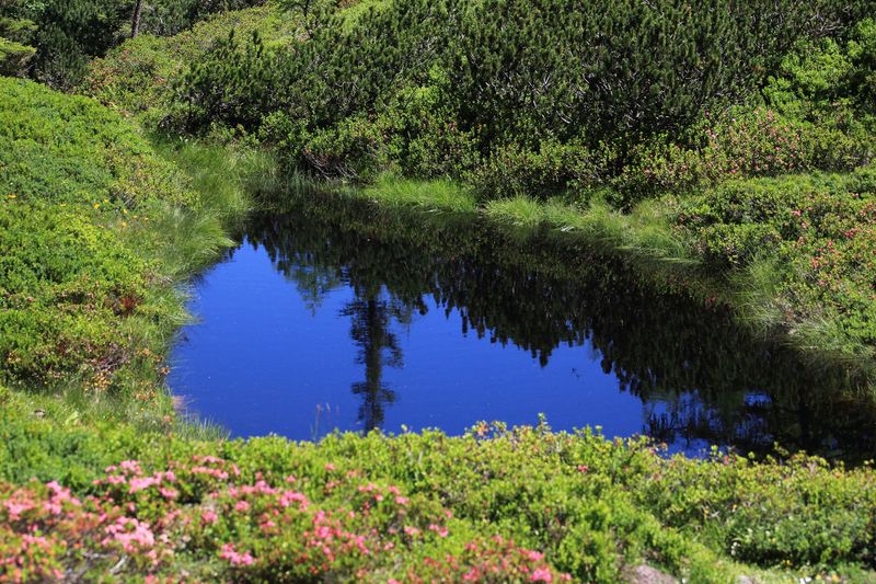 Datei:Gumpenkar 53177 2017-07-05.jpg