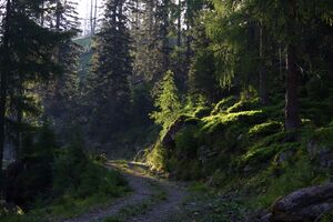 Höll-wölzer tauern 89956 2015-06-08.jpg