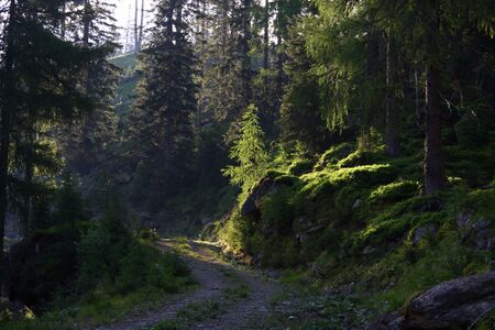 Höll-wölzer tauern 89956 2015-06-08.jpg