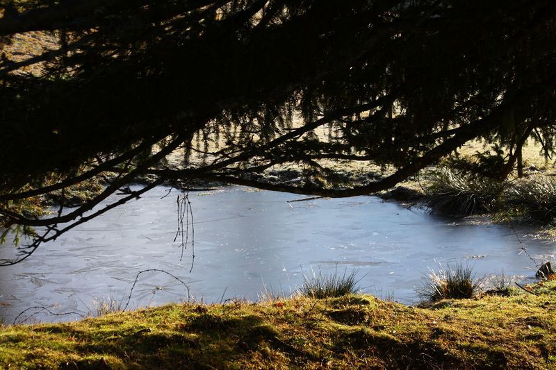 Datei:Halseralm-rittis 79996 2014-12-05.jpg