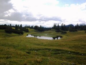 Karstfläche Kirchfeld 2.jpg