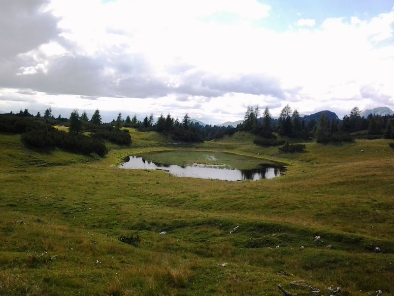 Datei:Karstfläche Kirchfeld 2.jpg