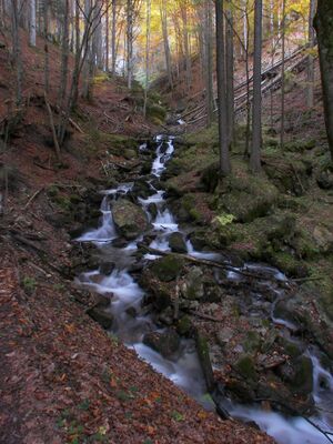 Luserbach 19134 2006-10-23.jpg