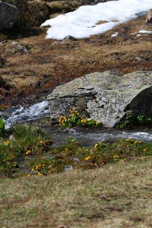 Obertalbach keinprecht 0586 2008-06-01.jpg