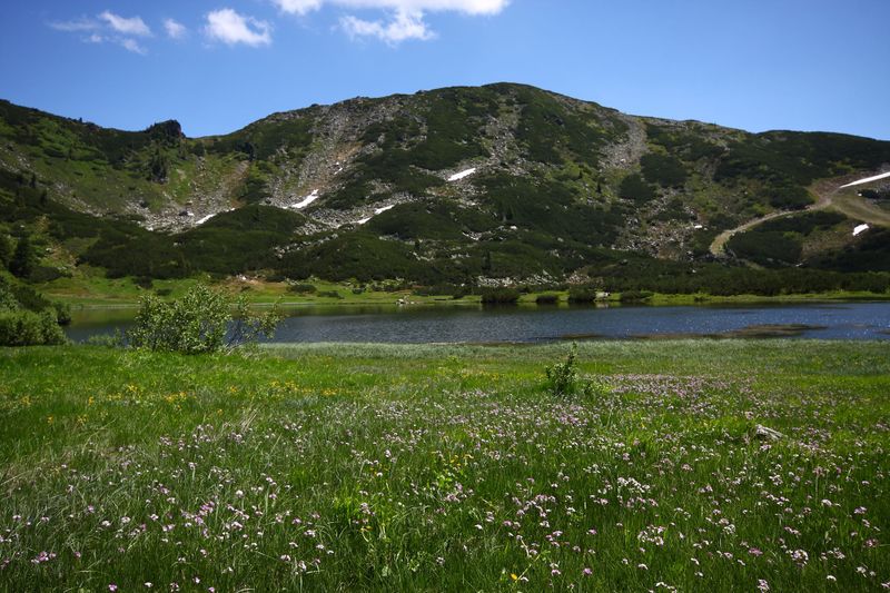 Datei:Plannersee 65270 2014-06-26.jpg