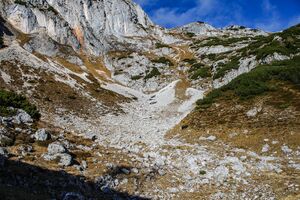 Senfkar luseralm 13482 2015-11-11.jpg