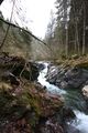 Strubschlucht 34623 2014-01-20.jpg