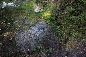 Strummern mühlreith 47228 2017-05-17.jpg