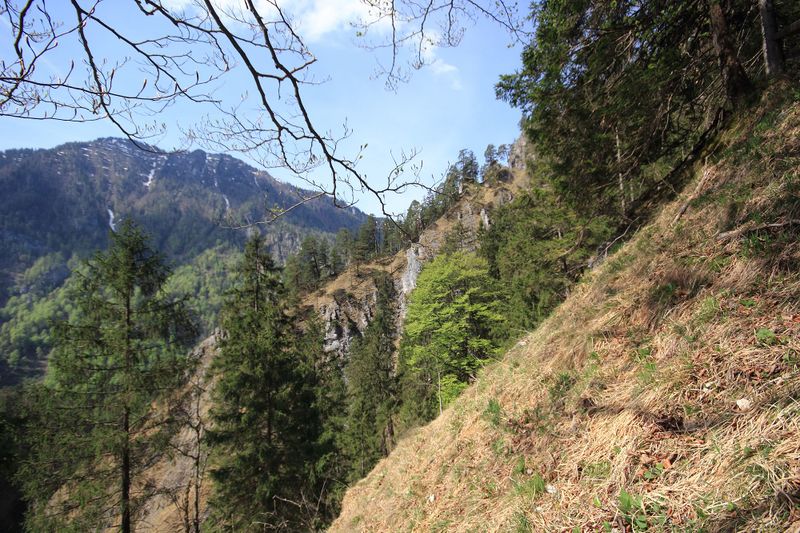 Datei:Wasserlochklamm palfau 70440 2018-04-23.jpg